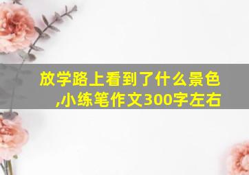 放学路上看到了什么景色,小练笔作文300字左右