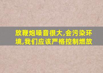 放鞭炮噪音很大,会污染环境,我们应该严格控制燃放