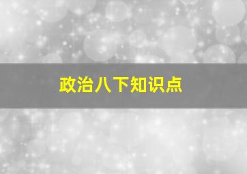 政治八下知识点