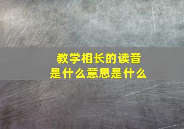 教学相长的读音是什么意思是什么