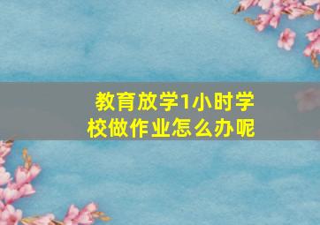 教育放学1小时学校做作业怎么办呢