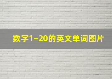 数字1~20的英文单词图片