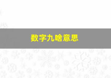 数字九啥意思