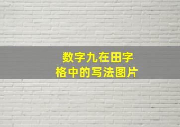 数字九在田字格中的写法图片