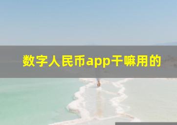 数字人民币app干嘛用的