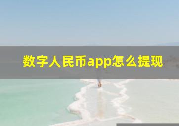 数字人民币app怎么提现