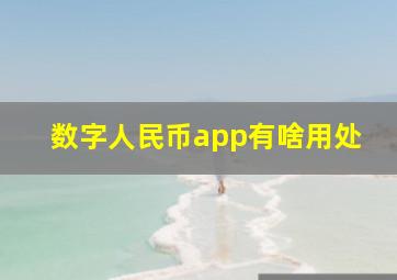 数字人民币app有啥用处