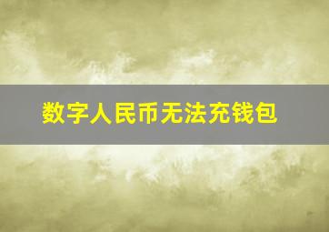 数字人民币无法充钱包