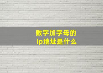 数字加字母的ip地址是什么