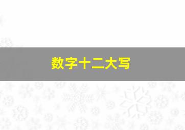 数字十二大写