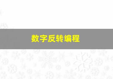 数字反转编程