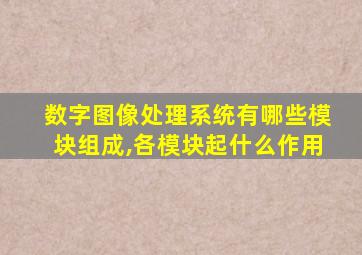 数字图像处理系统有哪些模块组成,各模块起什么作用