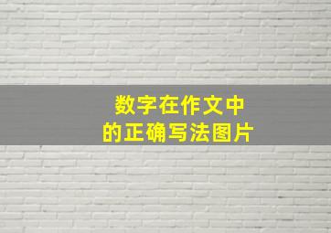 数字在作文中的正确写法图片