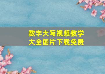 数字大写视频教学大全图片下载免费