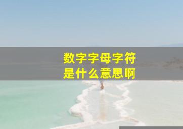 数字字母字符是什么意思啊