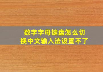 数字字母键盘怎么切换中文输入法设置不了