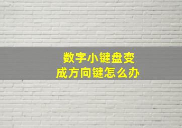 数字小键盘变成方向键怎么办