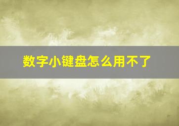 数字小键盘怎么用不了