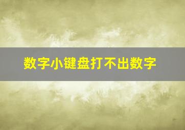 数字小键盘打不出数字