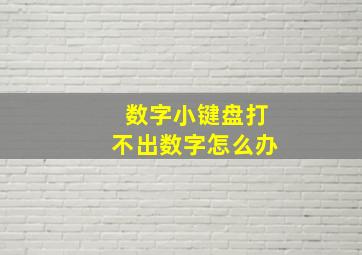 数字小键盘打不出数字怎么办