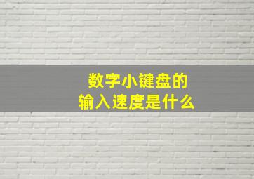 数字小键盘的输入速度是什么