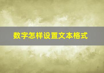 数字怎样设置文本格式