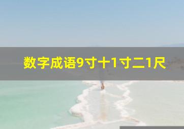 数字成语9寸十1寸二1尺