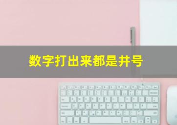 数字打出来都是井号