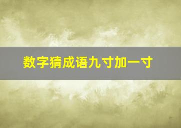 数字猜成语九寸加一寸