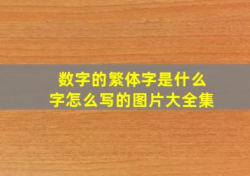 数字的繁体字是什么字怎么写的图片大全集