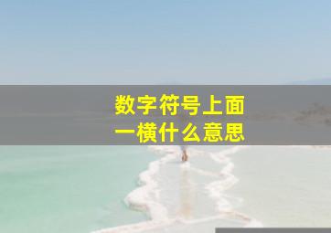 数字符号上面一横什么意思