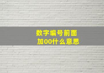 数字编号前面加00什么意思