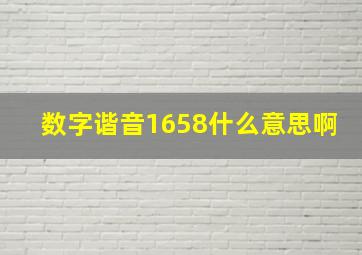 数字谐音1658什么意思啊