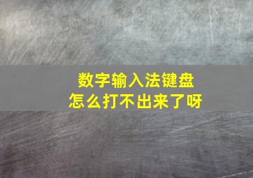 数字输入法键盘怎么打不出来了呀