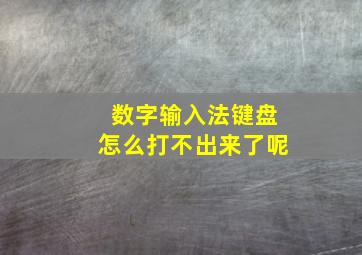 数字输入法键盘怎么打不出来了呢