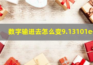 数字输进去怎么变9.13101e+