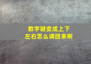 数字键变成上下左右怎么调回来啊