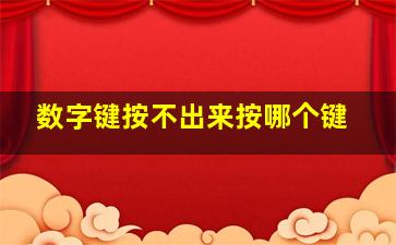 数字键按不出来按哪个键