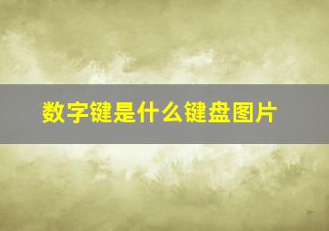 数字键是什么键盘图片