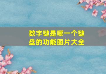 数字键是哪一个键盘的功能图片大全