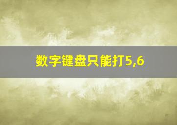 数字键盘只能打5,6