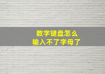 数字键盘怎么输入不了字母了