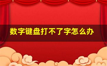 数字键盘打不了字怎么办