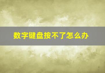 数字键盘按不了怎么办