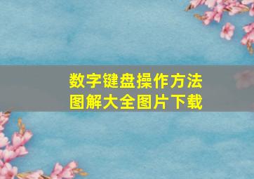 数字键盘操作方法图解大全图片下载