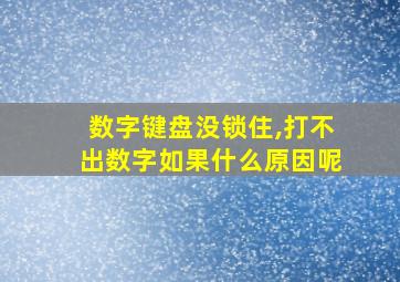 数字键盘没锁住,打不出数字如果什么原因呢