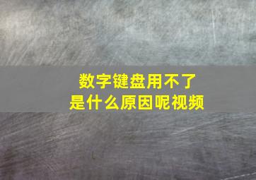 数字键盘用不了是什么原因呢视频