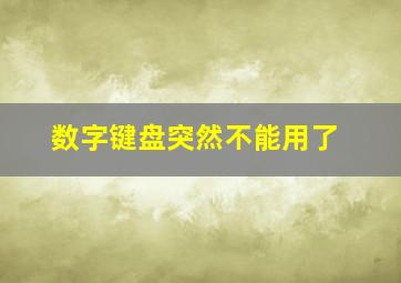 数字键盘突然不能用了