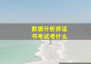 数据分析师证书考试考什么