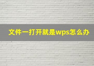 文件一打开就是wps怎么办